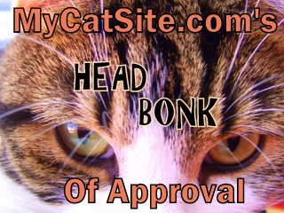 In Cat Language, Head Bonks Mean Love!