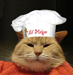 Cat food recipes making healthy cat foods at home Cat food recipes making healthy cat foods at home