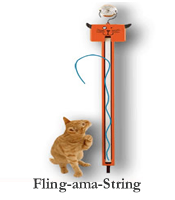 Cat Toys Fun For You And Your