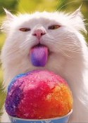 I LOVE Summer! Meow-Wow-Wowie! I LOVE Summer! Meow-Wow-Wowie!