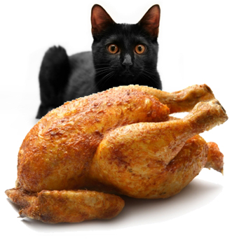 Cooked chicken is good! Cooked chicken is good!